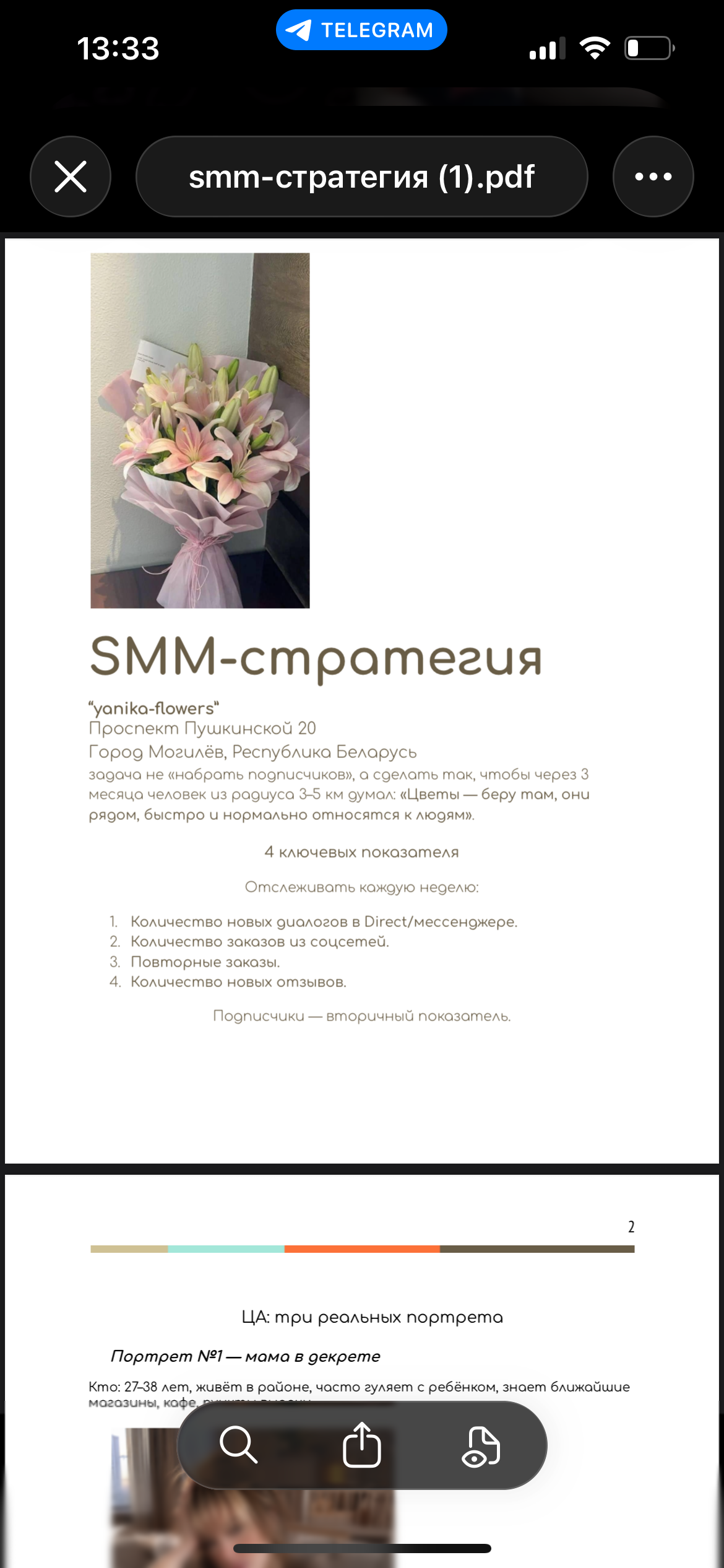 СММ-стратегия, концепция запуска